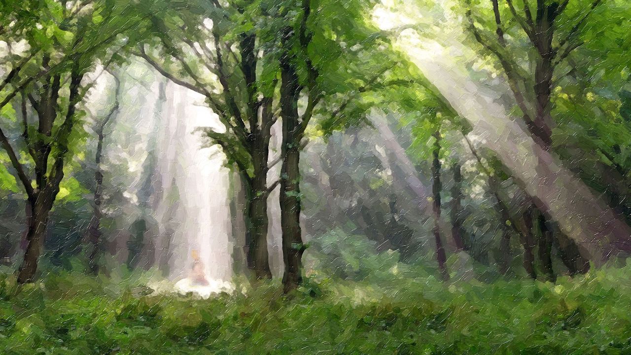 Un stâlp de lumină strălucește din cer asupra lui Joseph Smith în timpul unui eveniment numit Prima Viziune.